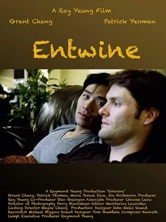 Entwine movie poster - Rated 6/10