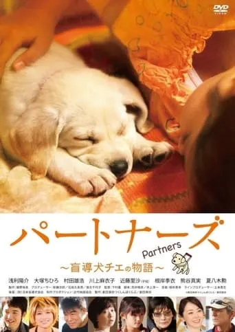 Partners movie poster - Rated 6/10