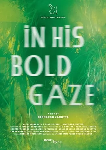 In His Bold Gaze movie poster - Rated 1/10