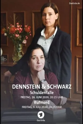 Dennstein & Schwarz - Pro bono, was sonst! movie poster - Entertainment content
