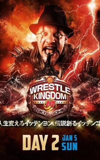 NJPW Wrestle Kingdom 14: Night 2 movie poster - Rated 9/10