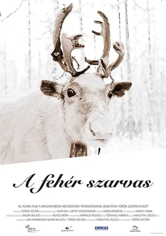 The White Reindeer movie poster - Entertainment content