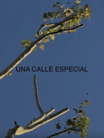 Una Calle Especial movie poster - Entertainment content