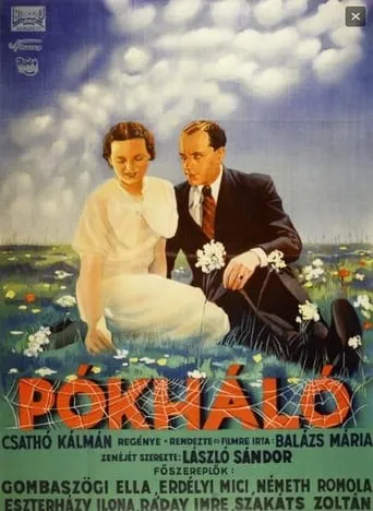 Cobweb movie poster - Rated 5/10