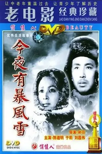 A Storm Will Come Tonight movie poster - Rated 8/10
