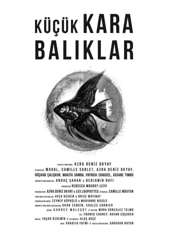 Little Black Fishes movie poster - Entertainment content