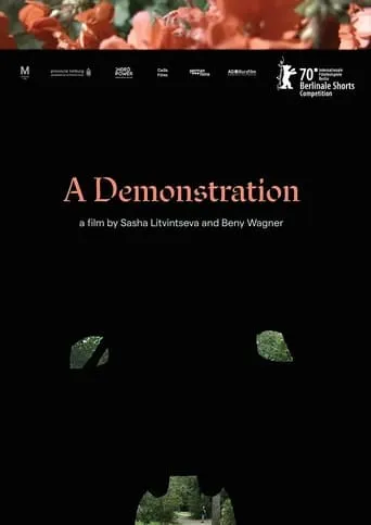 A Demonstration movie poster - Entertainment content