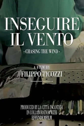 Chasing The Wind movie poster - Rated 6.7/10