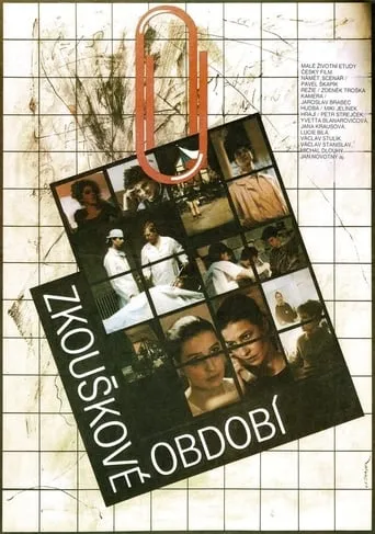The Period of Examinations movie poster - Rated 3.5/10