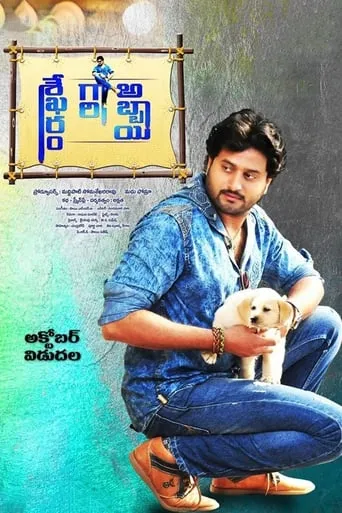 Shekaram Gari Abbayi movie poster - Rated 4/10