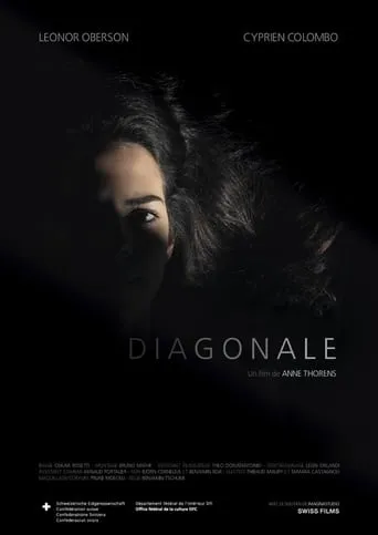 Diagonale movie poster - Rated 2/10