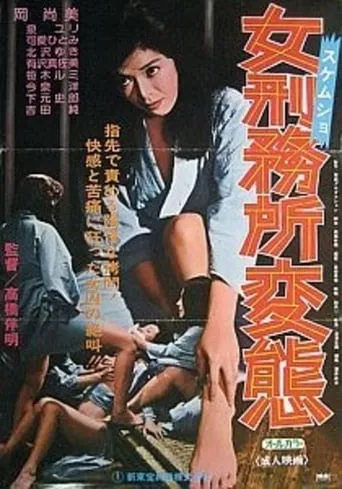 The Women's Prison Lesbian Hell movie poster - Rated 2/10