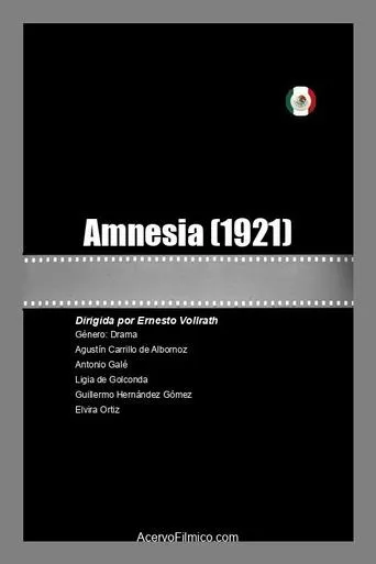 Amnesia movie poster - Rated 5/10