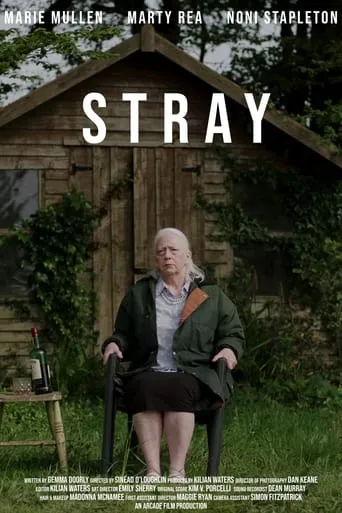 Stray movie poster - Entertainment content