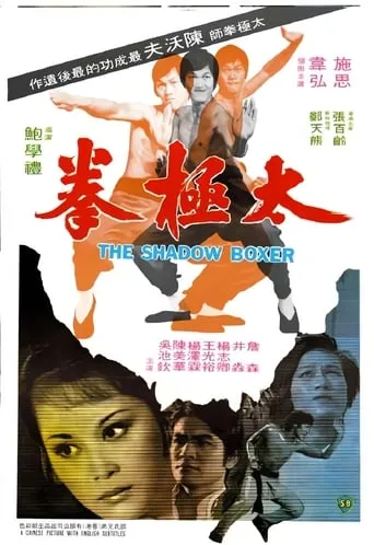 The Shadow Boxer movie poster - Rated 5.1/10
