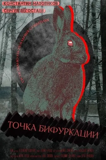 Point Of Bifurcation movie poster - Entertainment content