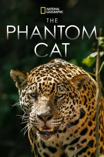 The Phantom Cat: Jaguar movie poster - Entertainment content