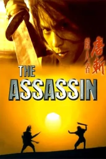 The Assassin movie poster - Rated 6.4/10