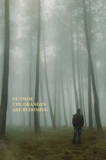 Outside the Oranges Are Blooming movie poster - Entertainment content