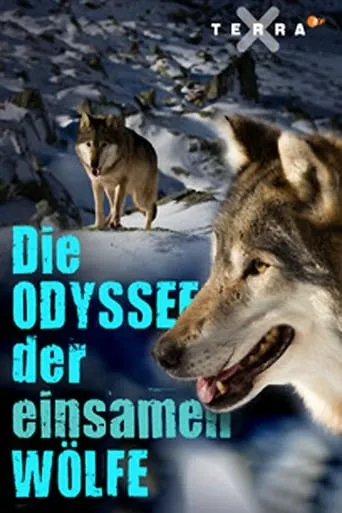 Die Odyssee der einsamen Wölfe movie poster - Rated 8/10