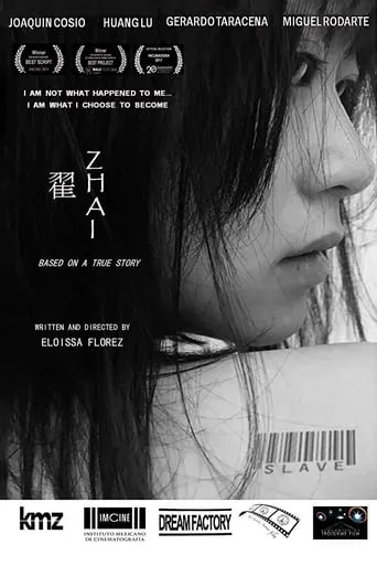 Zhai movie poster - Rated 5/10
