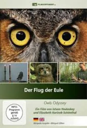 Der Flug der Eule movie poster - Entertainment content