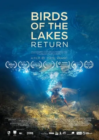 Birds of the Lakes Return movie poster - Rated 8/10