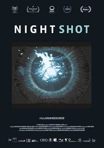 Night Shot movie poster - Rated 7/10