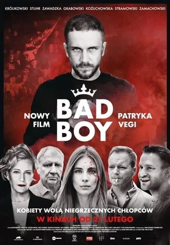 Bad Boy movie poster - Rated 4.9/10