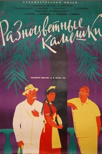 Разноцветные камешки movie poster - Entertainment content