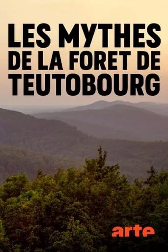 Secret Teutoburg Forest movie poster - Rated 6/10