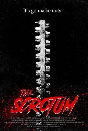 The Scrotum movie poster - Rated 6/10