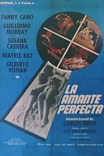 The Perfect Lover movie poster - Rated 5/10