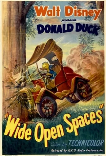 Wide Open Spaces movie poster - Rated 6.1/10