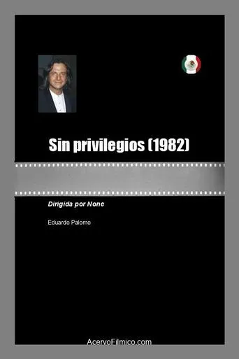 Sin privilegios movie poster - Rated 5/10