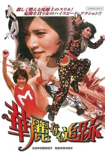 The Great Chase movie poster - Rated 6.5/10