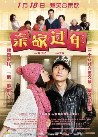 New Year's In-Laws movie poster - Rated 4/10