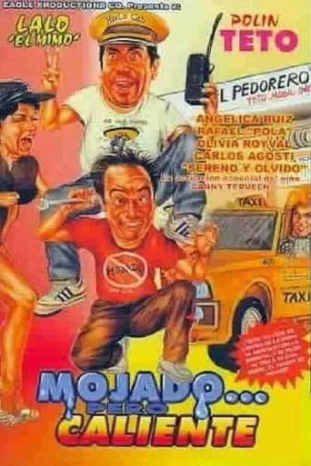 Mojado... pero caliente movie poster - Rated 5/10