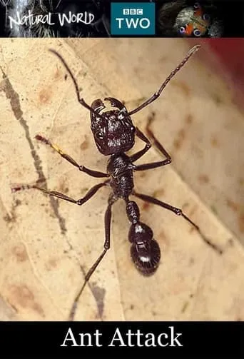 Ant Attack movie poster - Rated 5.2/10