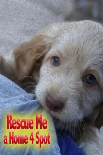 Rescue Me: A Home 4 Spot movie poster - Entertainment content