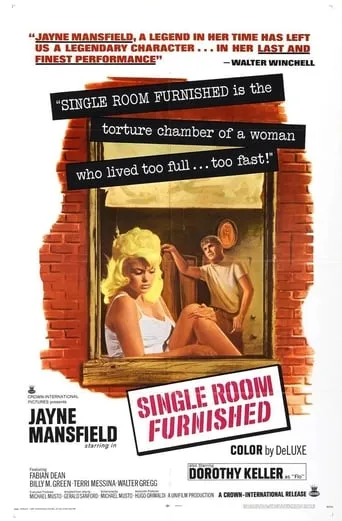 Single Room Furnished movie poster - Rated 4.7/10