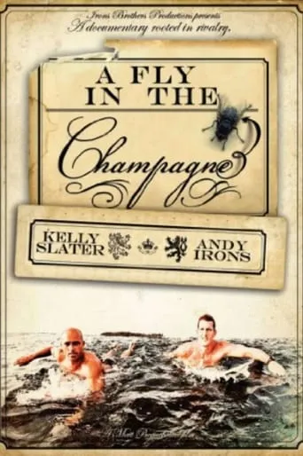 A Fly in the Champagne movie poster - Rated 6/10