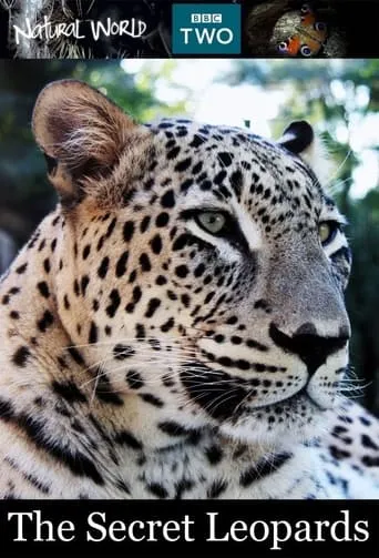 The Secret Leopards movie poster - Rated 5.2/10