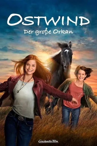 Windstorm: The Great Hurricane movie poster - Rated 6.6/10