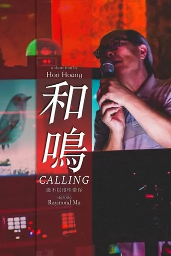 Calling movie poster - Rated 7/10