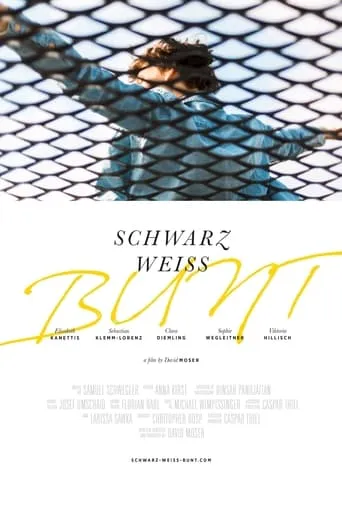 Schwarz Weiss Bunt movie poster - Rated 4/10