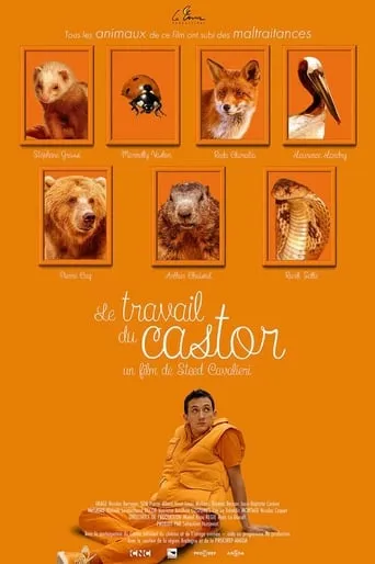 Le Travail du castor movie poster - Entertainment content