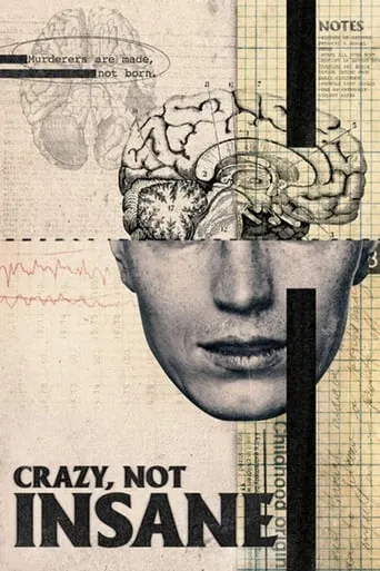 Crazy, Not Insane movie poster - Rated 7.3/10