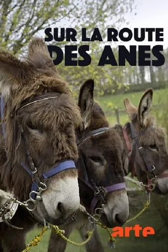 Sur la route des ânes movie poster - Rated 8/10