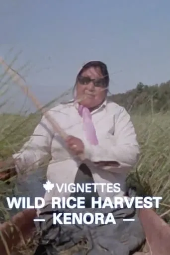 Canada Vignettes: Wild Rice Harvest Kenora movie poster - Entertainment content